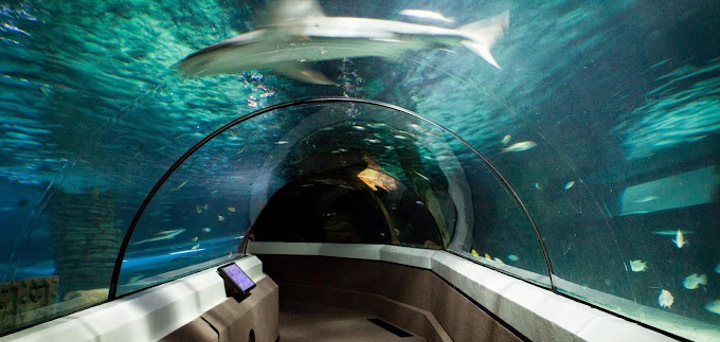 SEA LIFE Sunshine Coast Aquarium